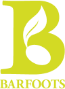 Barfoots logo
