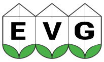 EVG logo 2