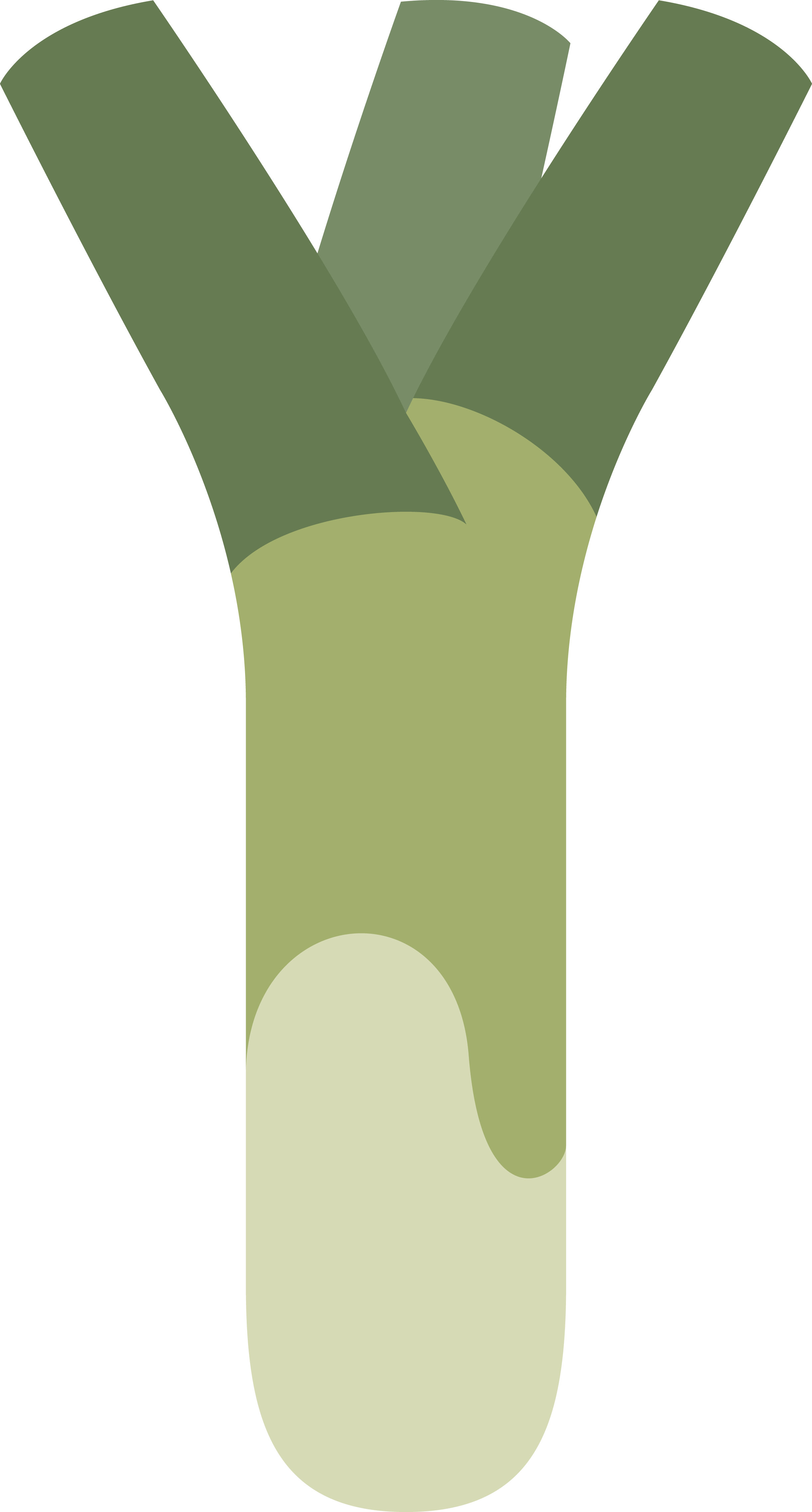 Leek icon