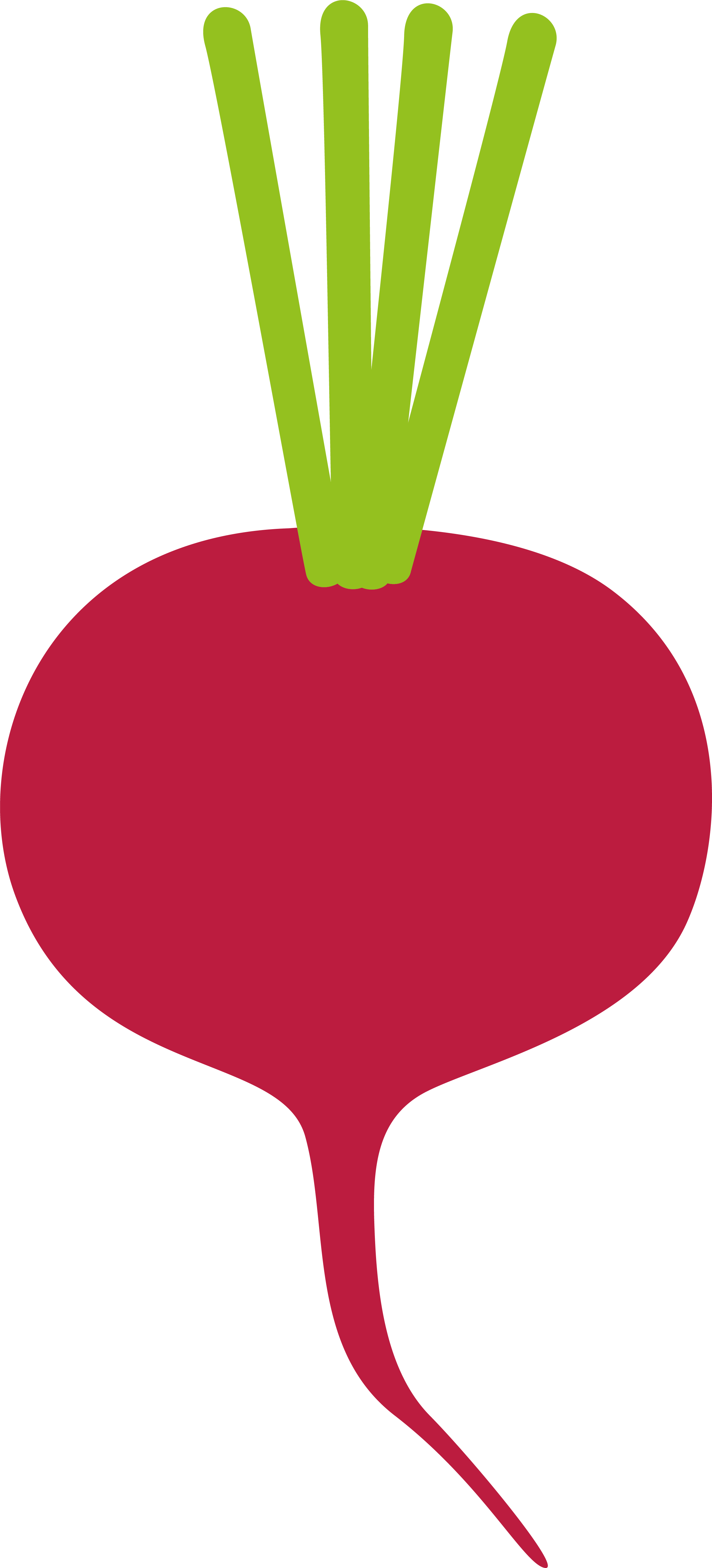 Radish icon