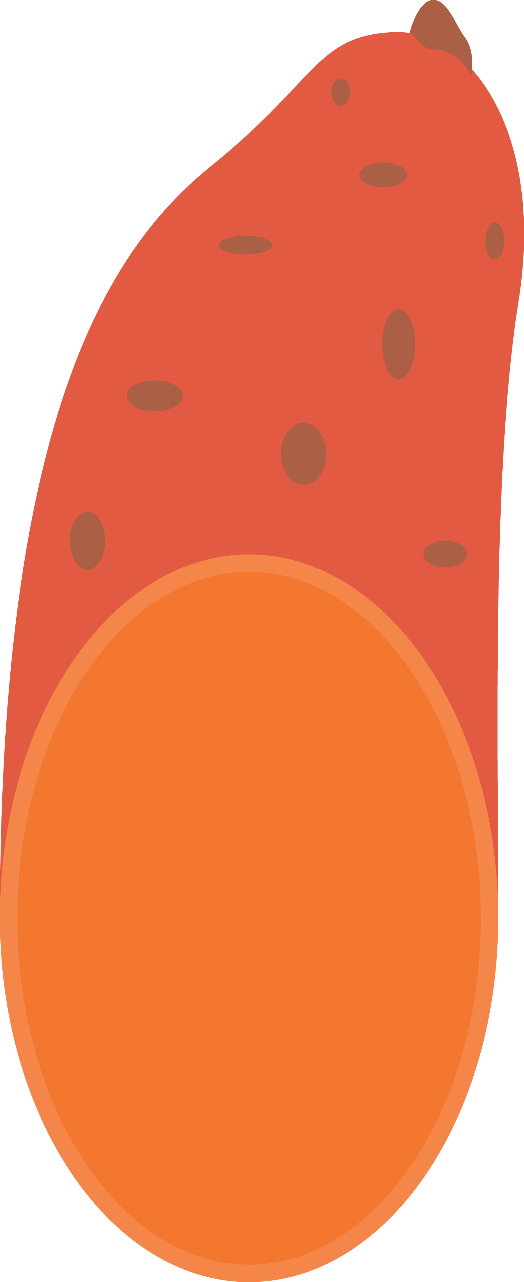 Sweet Potato icon