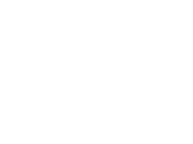 email-white-icon
