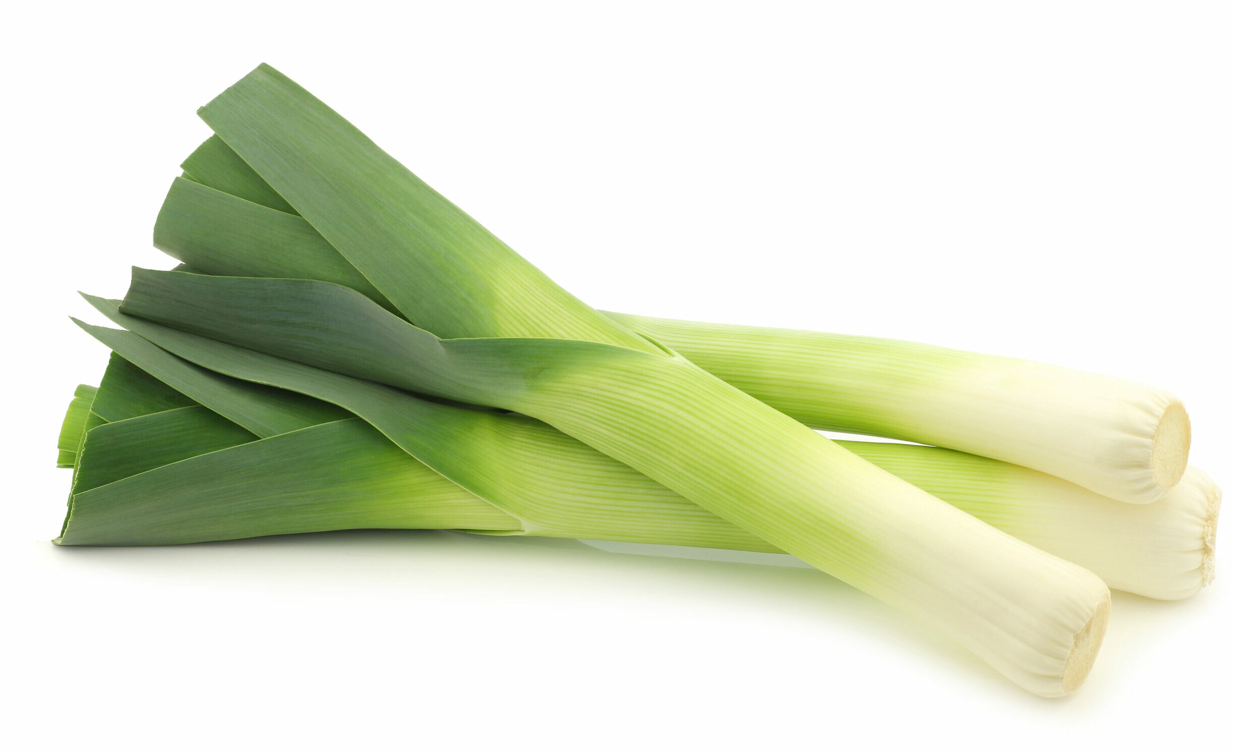 fresh leek