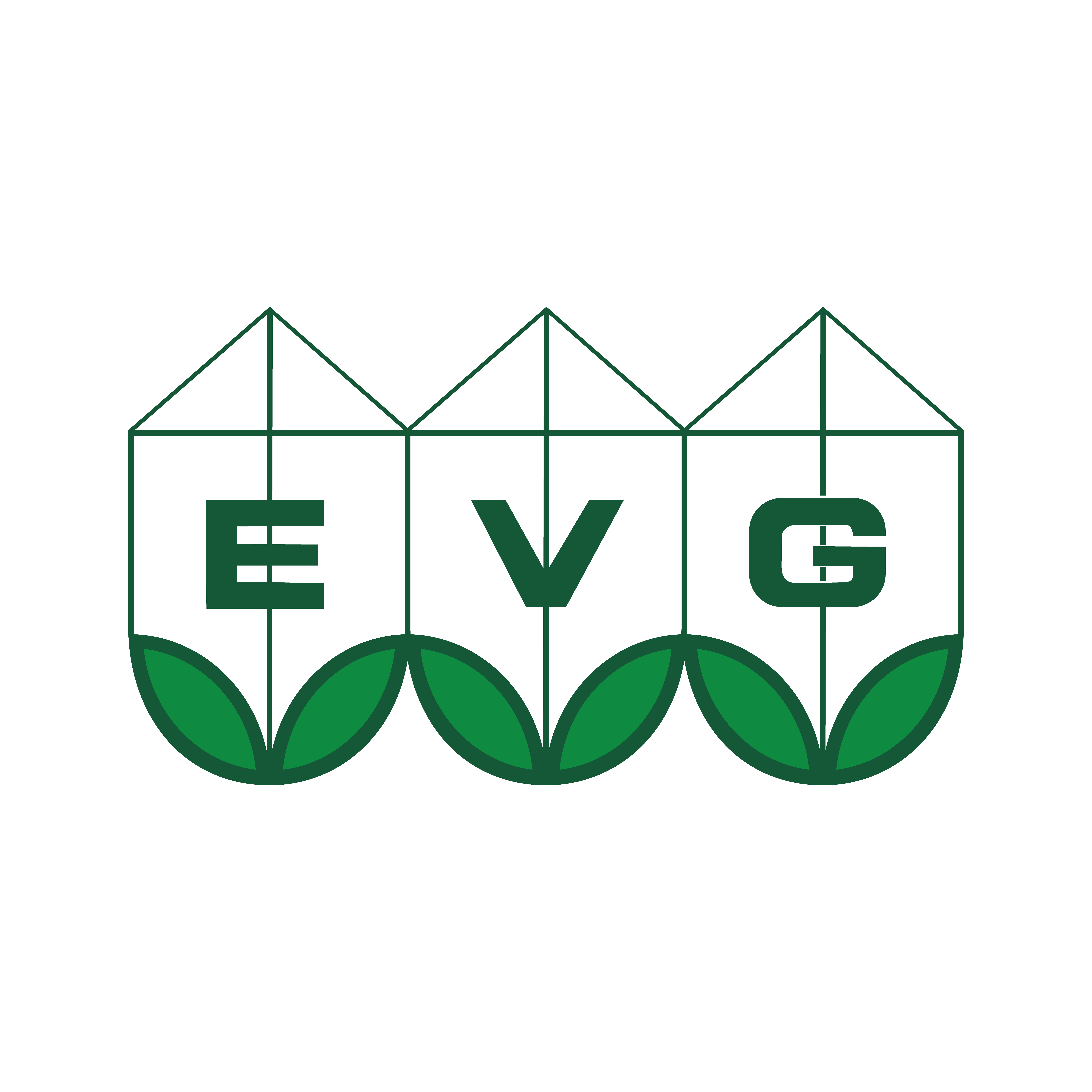 EVG