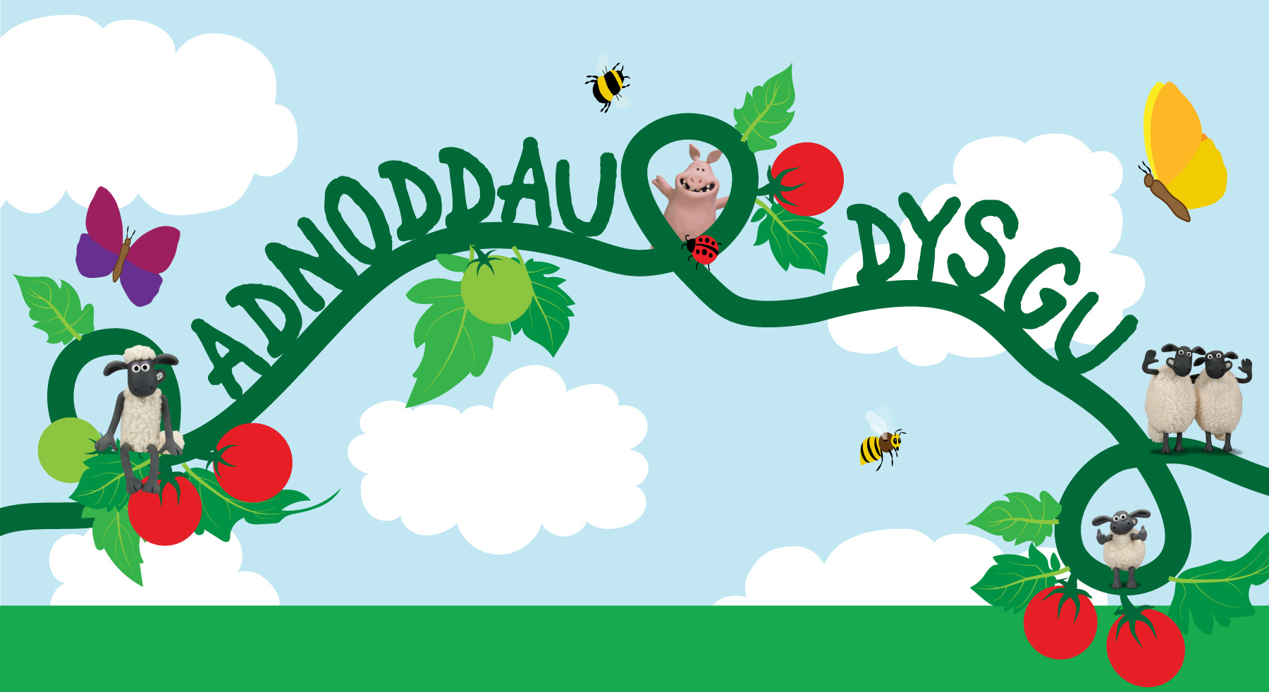 TEACHING-RESOURCES-HERO-WELSH2