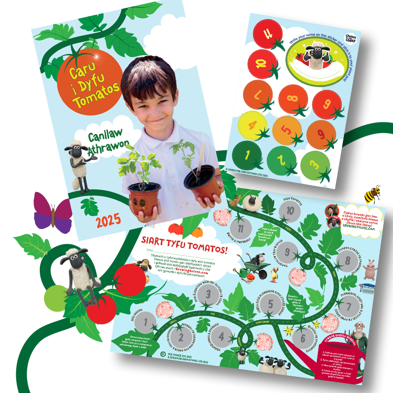 VP_GTL resources-800x800-wlsh